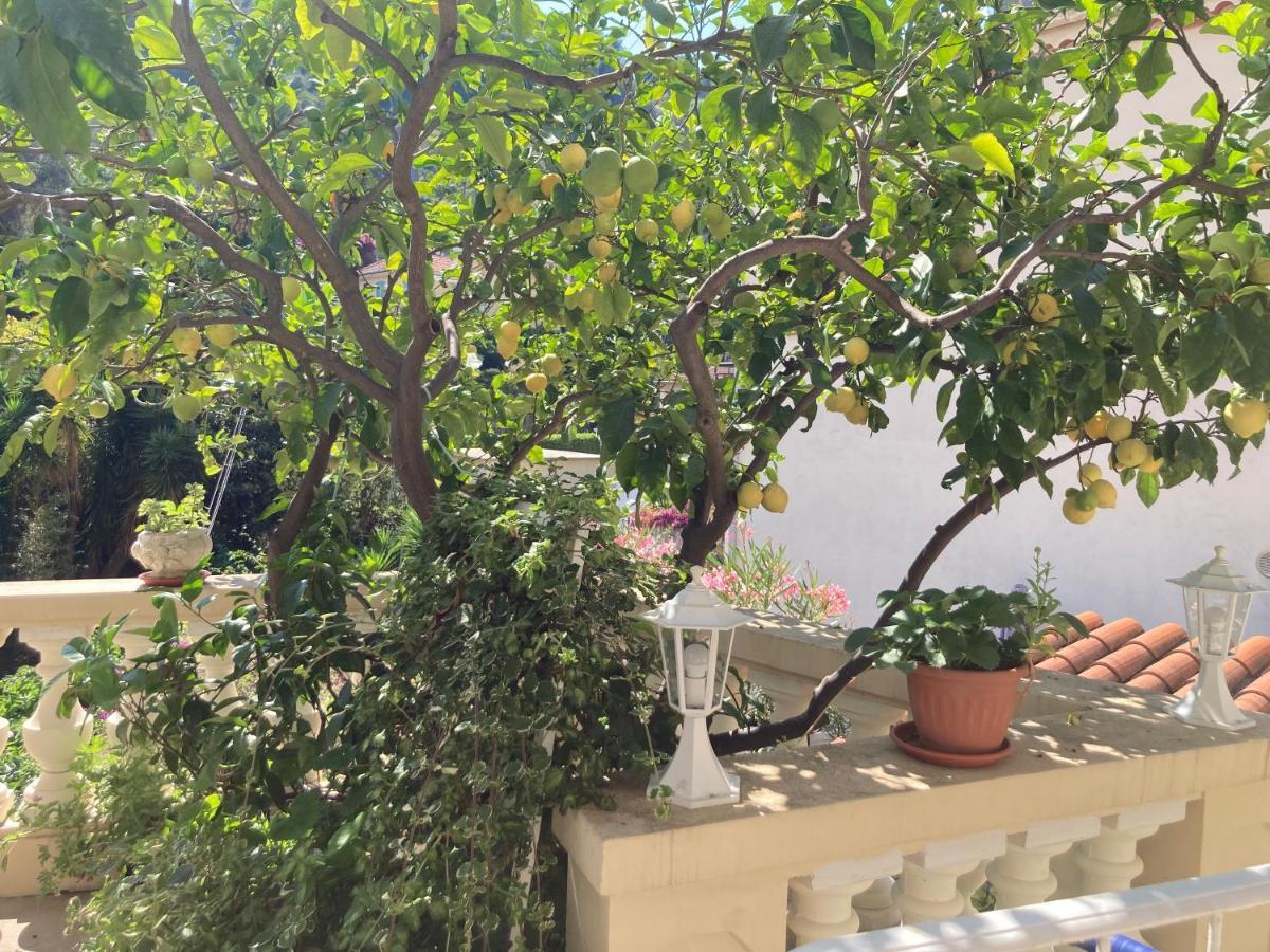 Studio Villa La Cigale Avec Grande Terrasse Menton Ngoại thất bức ảnh